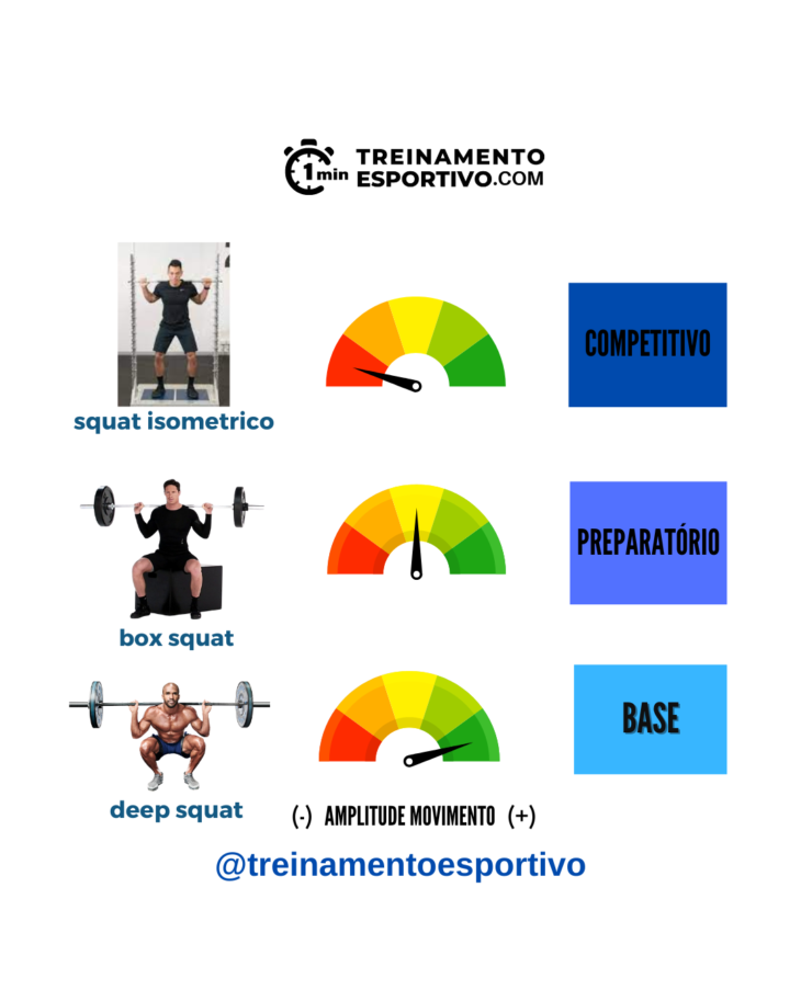 Manual de Técnicas de Exercício para Treinamento de Força